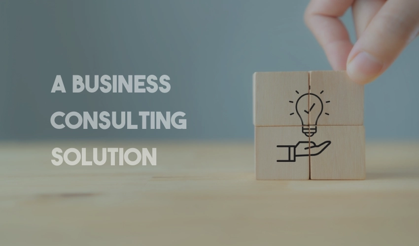 Business Consulting Solution in 2024