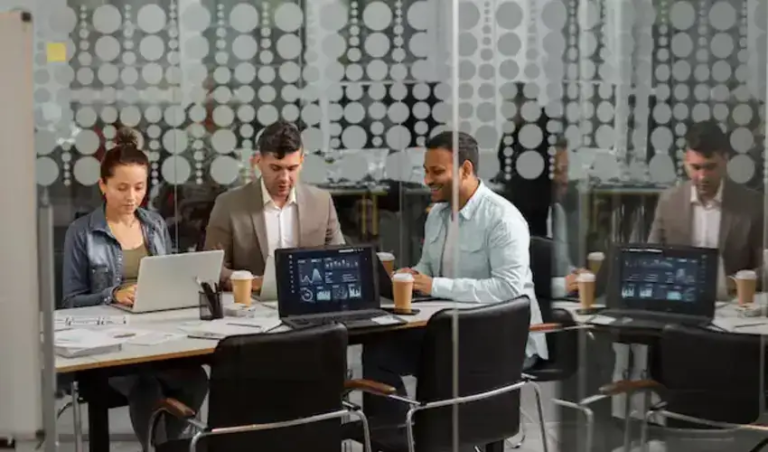 Software Development and Consulting Services